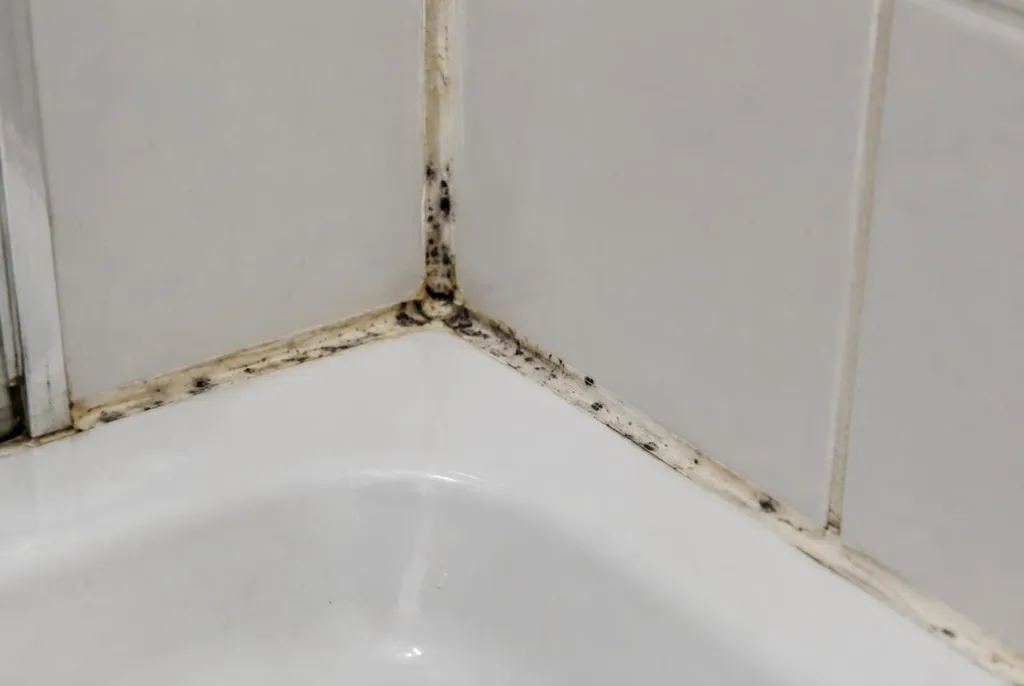 Kitbedrijf Lopik – beschimmelde kitranden